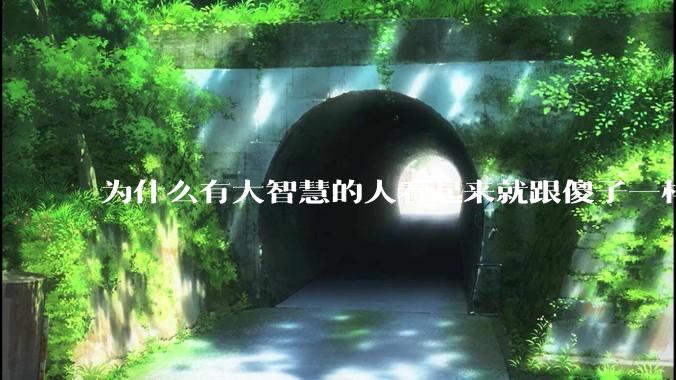 为什么有大智慧的人看起来就跟傻子一样？