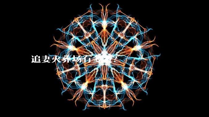 追妻火葬场有多爽？