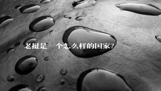 老挝是一个怎么样的国家？